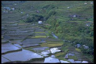 GIS_in PH.JPG