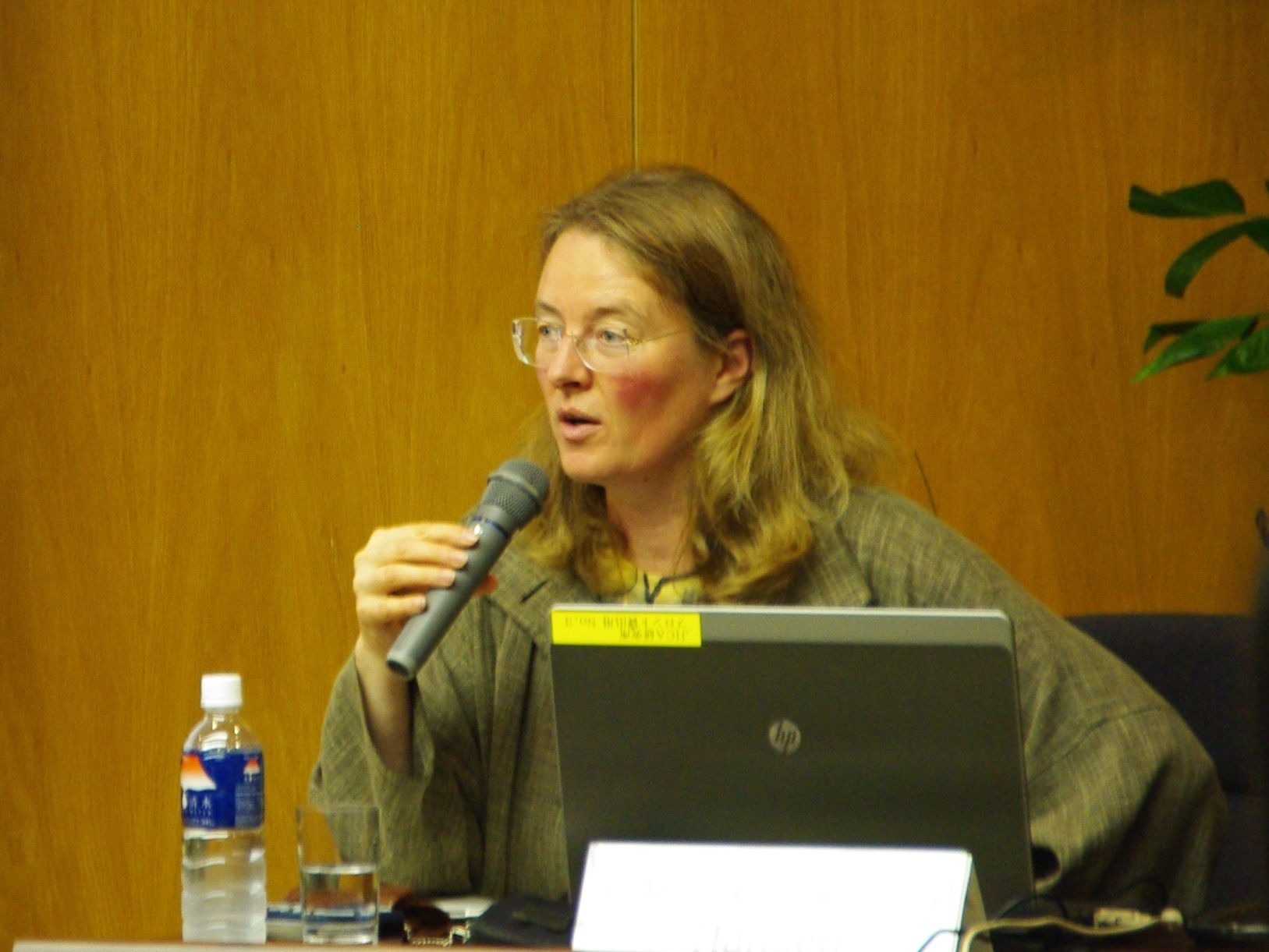 IMGP7968a.jpg