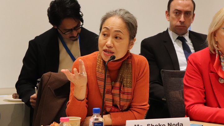 写真：野田章子UNDP危機局長