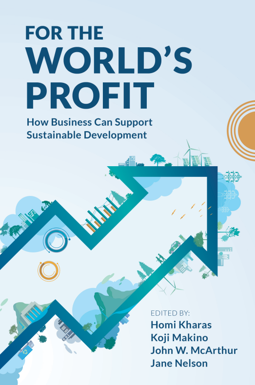 For the World’s Profit: How Business Can Support Sustainable Development