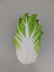 【画像】