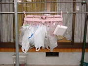 【写真】