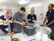 【写真】