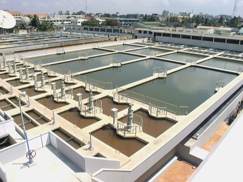 本プロジェクトで新設した浄水池。