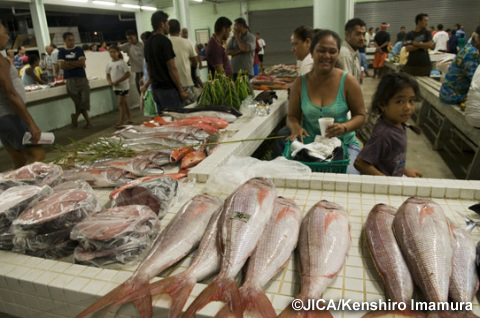 本協力により建設された水産市場。日本の市場のように威勢のよいかけ声は飛ばず、のんびりとした雰囲気の中、地元の人びとが魚を買ってゆく。（写真提供：今村　健志朗）
