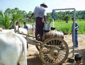牛車による水汲み