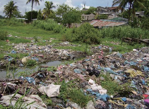 ダルエスサラーム市における排水溝の清掃（清掃前）ダルエスサラーム市内の排水溝はゴミの堆積により機能しない状況となっている。また、水が流れないため、マラリアの原因となるハマダラ蚊の発生源となっている。