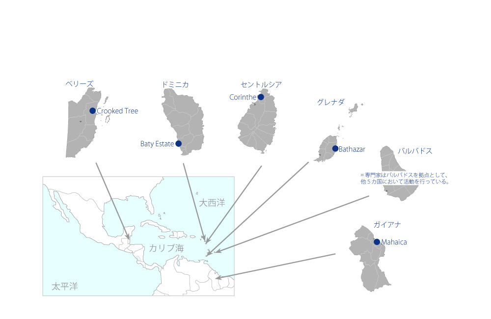 カリブ災害管理プロジェクトフェーズ2の協力地域の地図