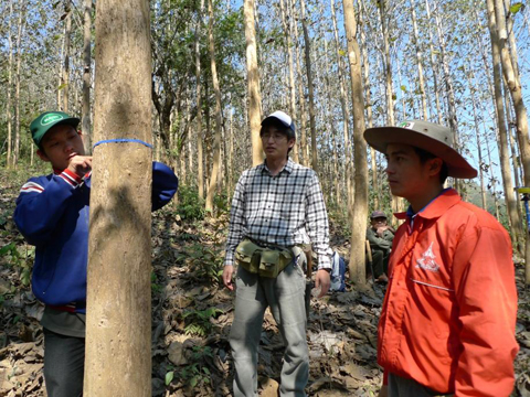 短期専門家による森林資源調査方法の指導。