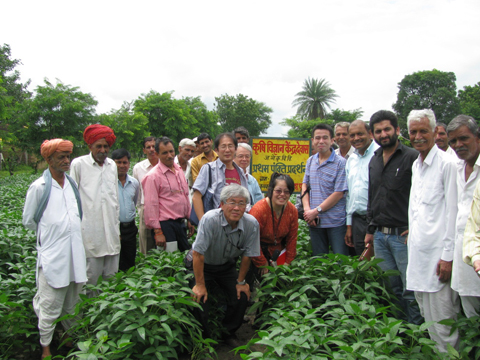 農業普及センター（以下、KVK）のデモンストレーション圃場の訪問（2011年8月16日）