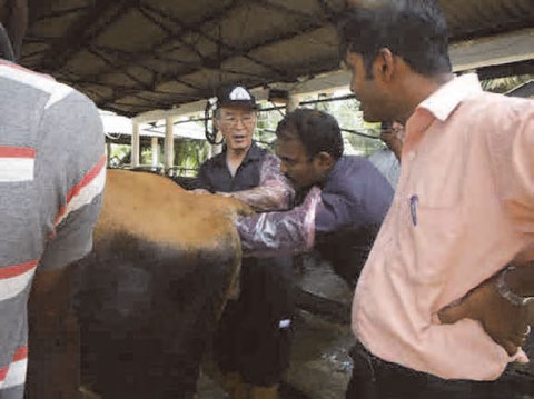後代検定の実施場所である国家畜産開発公社（NLDB）アンディガマ牧場の職員に妊娠鑑定の指導を行う専門家。