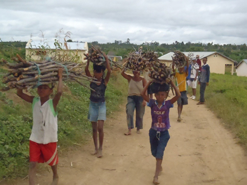 水田に囲まれたアノシボリボリでは子供たちも薪を集める。