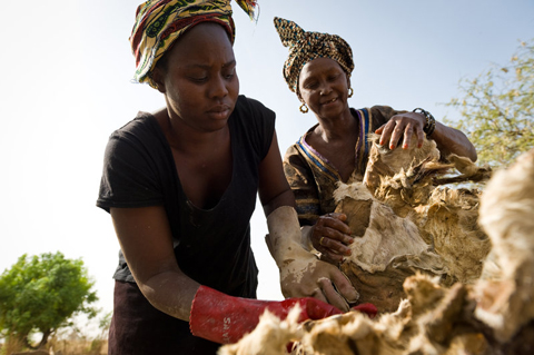 2011年優良製品（皮なめし）：天然素材だけを使い、伝統手法でなめされたこの地の皮は、革職人の手を経て、セネガルの革製品として消費者に愛されています。