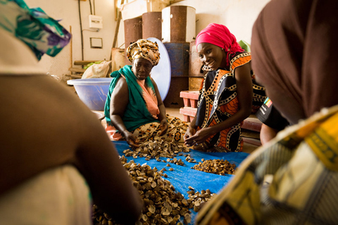 2011年優良製品（貝加工）：天日乾燥した貝は海岸線に住む人々の産品としてセネガルで有名です。この生産者は、丁寧な作業工程により高品質な貝の水煮を作った努力が評価され、優良製品に認定されました。