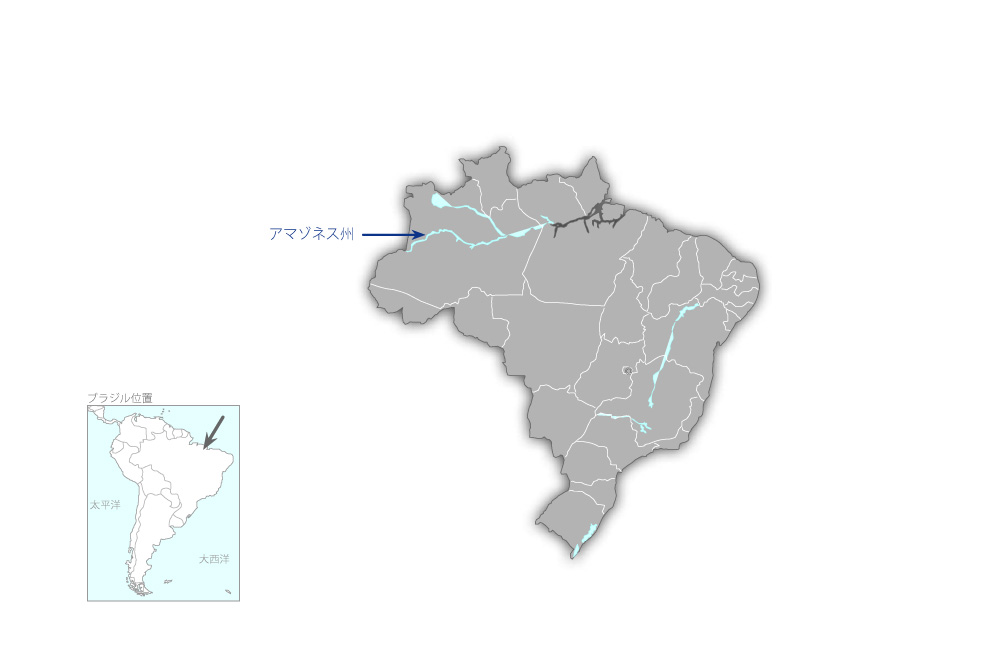 アマゾンの森林における炭素動態の広域評価の協力地域の地図