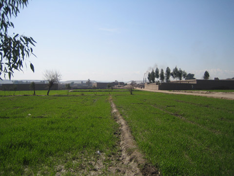 村の風景（下スルタン・プール村）