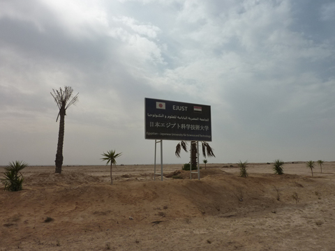 本プロジェクトサイトから徒歩5分程度西へ進んだ所にあるエジプト・日本科学技術大学（E-JUST）キャンパス建設予定地を撮影。