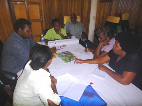 マラリア対策を含むコミュニティ活動モデル「ヘルシービレッジ」のガイドライン・ツール作成ワークショップ（グループワーク）