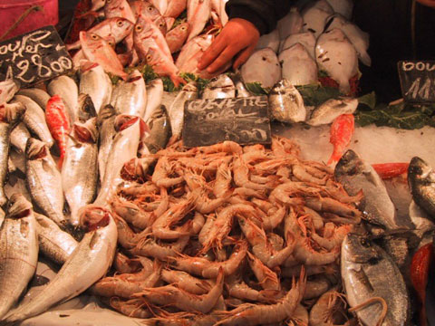 チュニス魚市場に陳列される魚介類