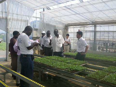 2012年8月に実施された日本での研修で、先進農家を訪問したブルンジ農業・畜産省の行政官たち。