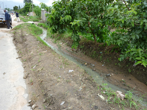 チトゥンギザ市では下水管に目詰まりや漏水などの問題があり、下水や家庭用排水が公道などに排水されている所が散見される。