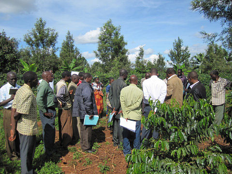 パイロット事業の対象地のひとつ、ムベヤ州ムボジ県ではコーヒーを扱っており、ルブマ州ムビンガ県での先行事例を学ぶスタディツアーを実施。ムビンガ県の栽培事例を視察するメンバーたち。