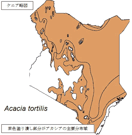 【画像】