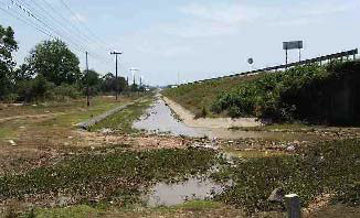 （協力実施後）国道九号線北側の排水路　浸水が発生しても排水がよいため浸水時間が短縮している