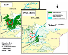 緑色のところが森林　1970年と2000年の比較では、赤丸のイグアス湖周辺の森林が大幅に消失している。（出典：WWF）