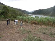 パイロット村落の共同試験圃場