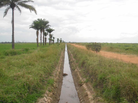 プロジェクトサイト付近の用水路（2014年5月7日）