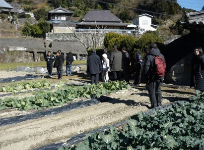 本邦研修中、徳島県の学校給食用に野菜を生産している農家を視察