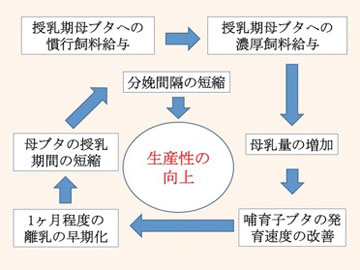 【画像】