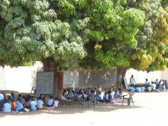 マプト近郊小学校（教室不足で木の下の授業）