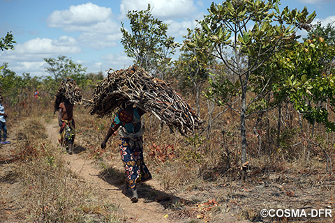 ザラニヤマ森林保護区は、地域の住民にとって生計を営むのに必要な森林資源を供給する重要な役割を担っており、地域住民は法令に定められた範囲内での林産物の採取が認められている（写真提供：COSMA-DFR）