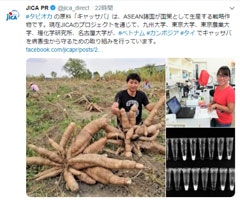 【画像】