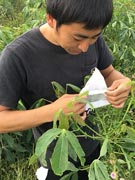【画像】