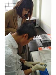 【画像】