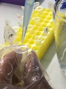 【画像】