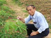 【画像】