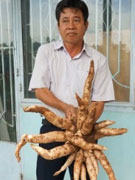 【画像】