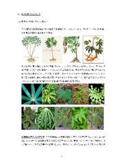【画像】