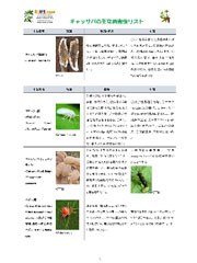 【画像】