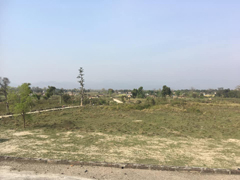 学校の校舎から見た町の風景。とてものどかで緑が豊か