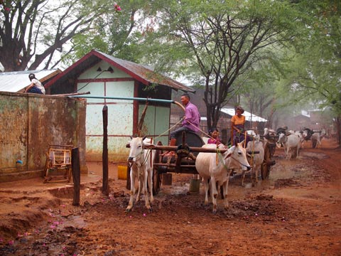 （協力実施前）給水施設：牛車での水汲みはポンプ稼働中の時のみ給水可能のため、多くの住民が順番を待っている。