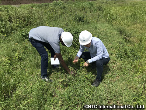 対象サイトで土壌調査を行うプロジェクトチーム（写真提供：NTCインターナショナル）