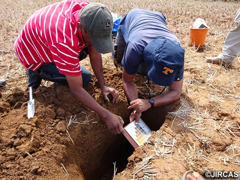 課題1：生産現場で活用できる簡易の土壌評価技術を開発（写真提供：国立研究開発法人　国際農林水産業研究センター）