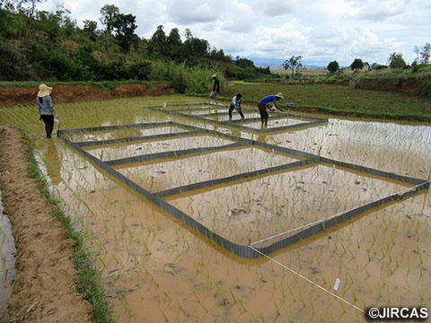 課題3：圃場の養分特性に応じた施肥技術の開発（写真提供：国立研究開発法人　国際農林水産業研究センター）