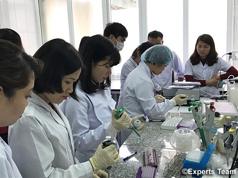 デング熱ウイルス検出のためのPCPMラボスタッフ向け研修が2018年2月Quang Ninh省PCPMにてNIHEスタッフの協力のもと開催された(写真提供:専門家チーム)