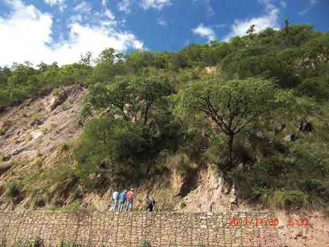 崩壊跡地までの高さが国道から90メートルあり、大量の土石流の可能性がある。